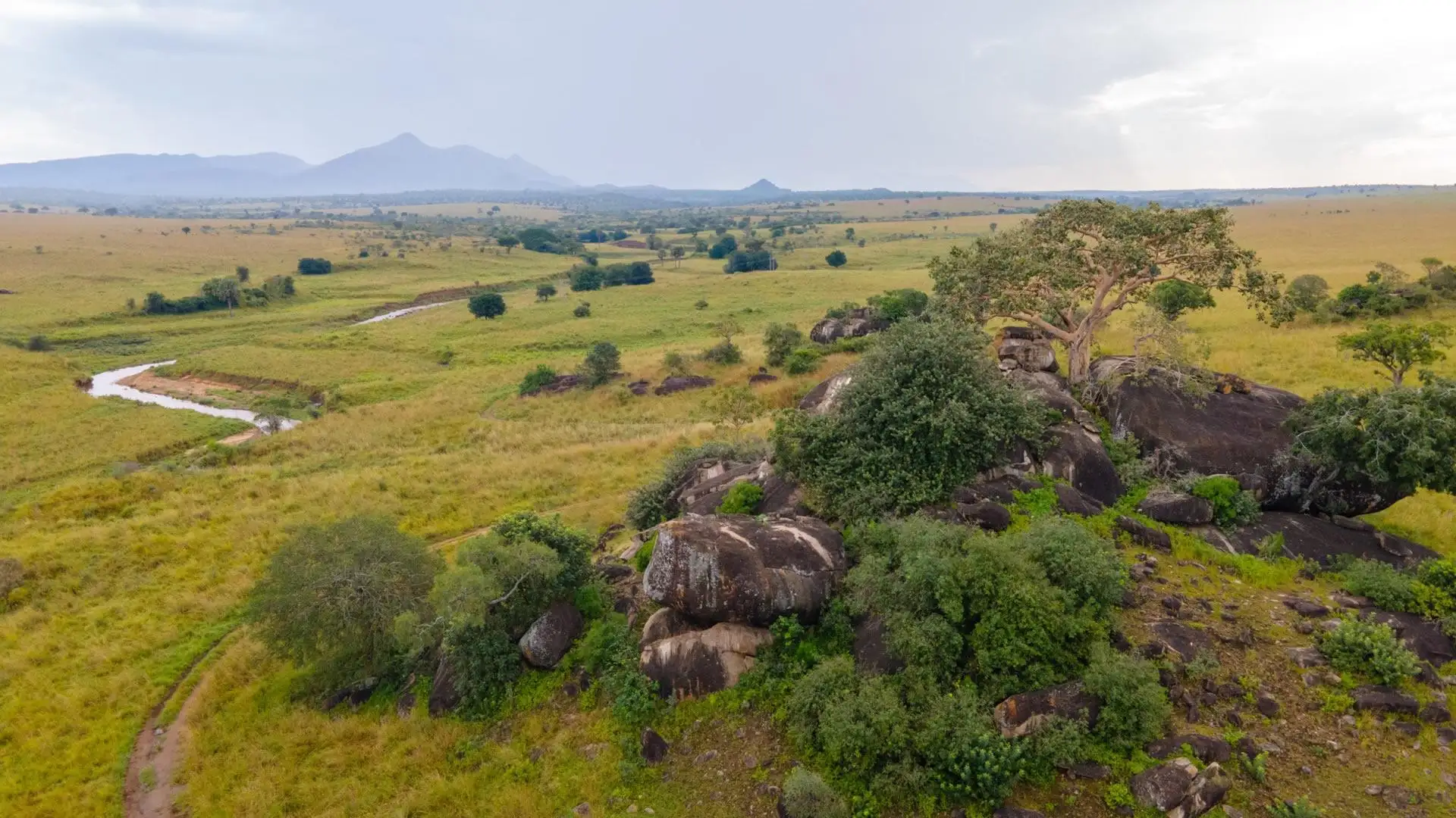 Open savannah, rock outcrops and distant mountains in Kidepo Valley